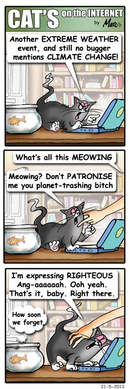 catsontheinternetextremeclimate