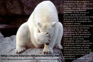 polarbeardecarbonisationdefeated