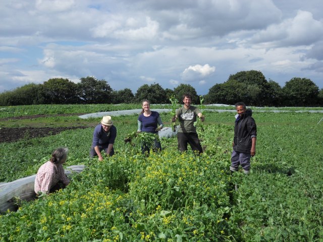 SAMSUNG DIGITAL CAMERA