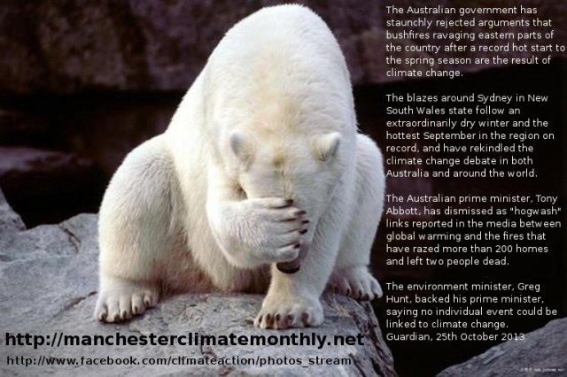 polarbearaustralianbushfires