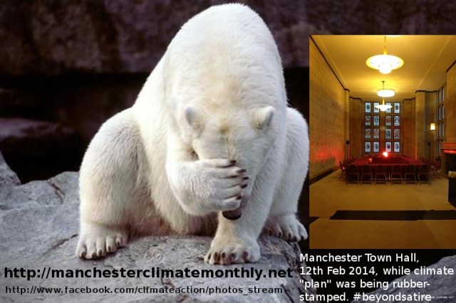 polarbeartownhallspaceheater