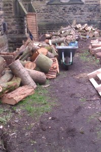 chorltonwildlifegarden