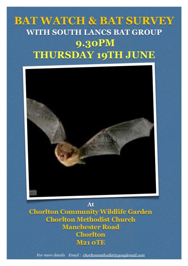 batnightandsurvey19june