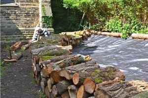 chorltoncommunitywildlifegarden