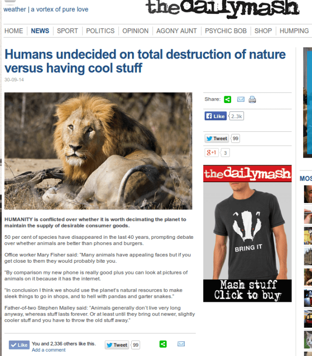 dailymashhumansundecided