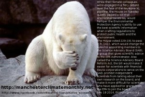 polarbearenvprotagency