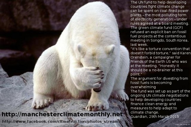 polarbearfundingcarbon