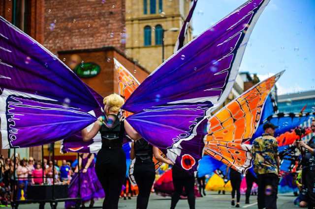 wings global grooves