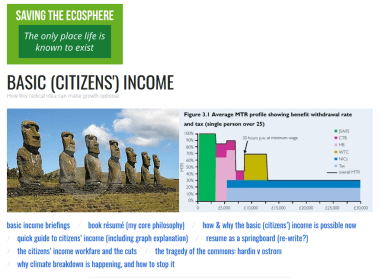 Screenshot_2019-06-30 Basic (Citizens') Income(1)